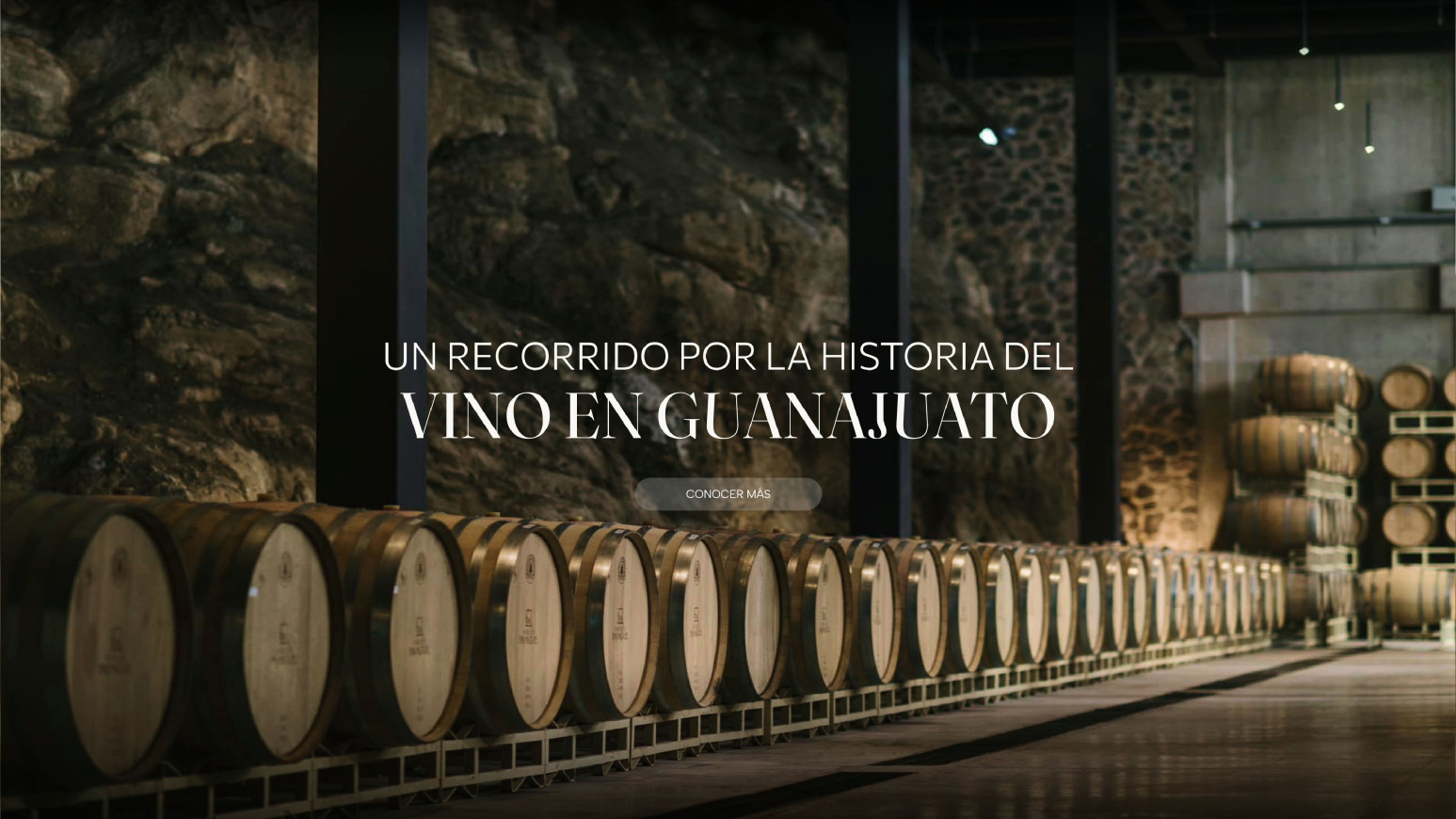 Ruta del vino