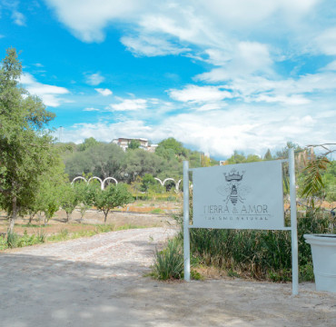 Ruta del Vino